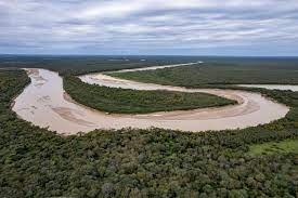 Gran Chaco Argentina risks losing its largest native forest